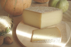 Hobelkäse aus Kaschmirziegen-Rohmilch